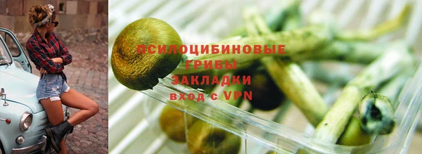 трава Алзамай