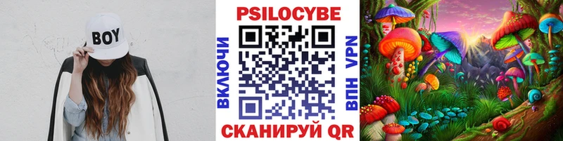 Псилоцибиновые грибы Cubensis  где продают   Вихоревка 